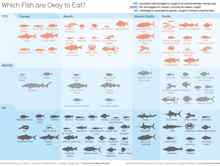 What’s In Your Seafood?