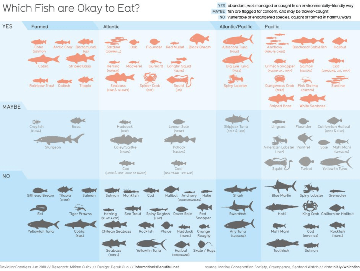 What’s In Your&nbsp;Seafood?