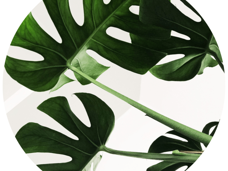 Four Ways to Have an Eco-Friendly&nbsp;Thanksgiving