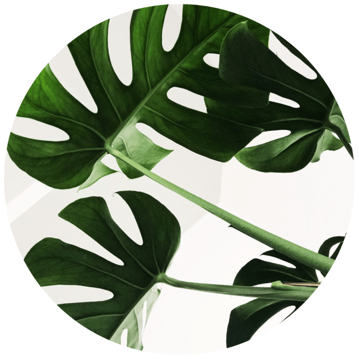 Four Ways to Have an Eco-Friendly&nbsp;Thanksgiving